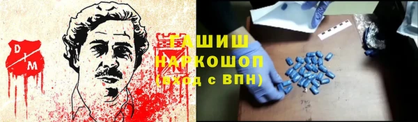 стаф Алзамай