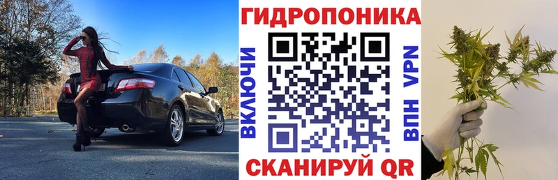 цена наркотик  мега ТОР  МАРИХУАНА THC 21%  Лебедянь 